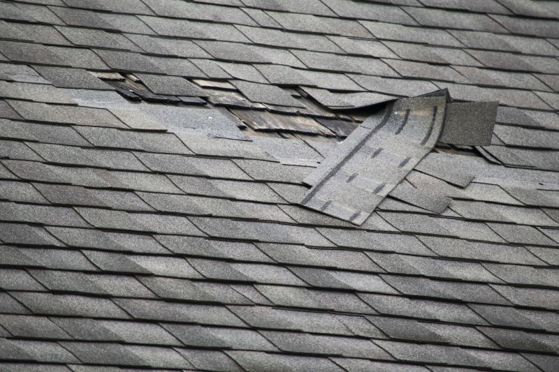 Asphalt Roof Repair in Windsor, CO