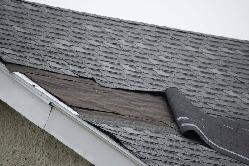 Asphalt Shingles Repair in Nunn, CO