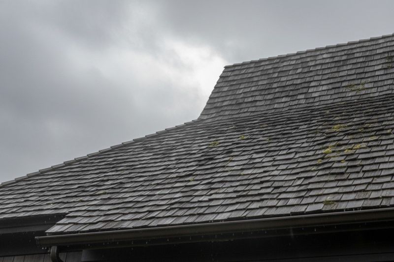 Cedar Roof Replacement in Nunn, CO