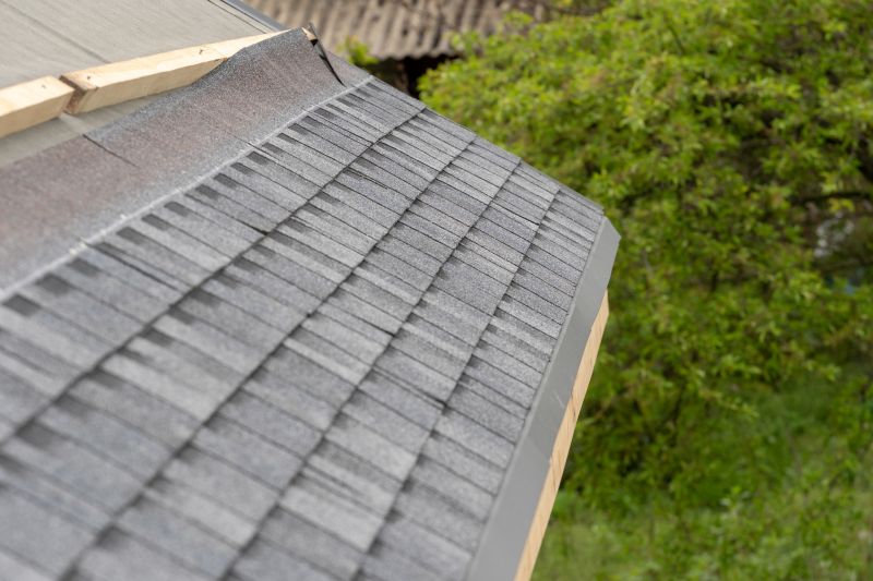Damaged Roof Repair in Evans, CO