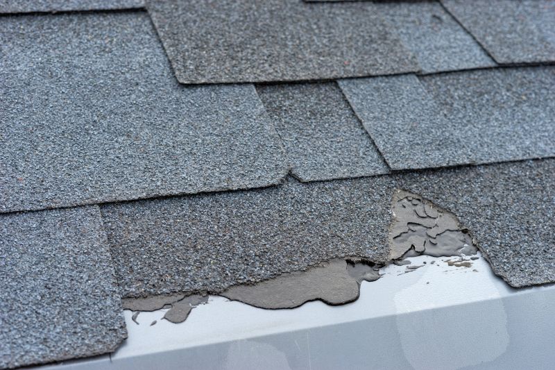 Damaged Roof Repair in Nunn, CO