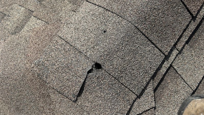 Damaged Roof Repair in Windsor, CO