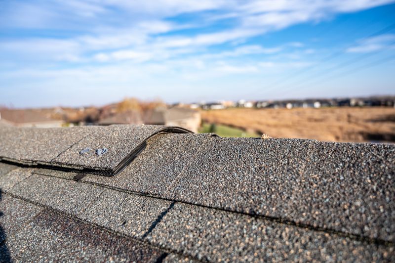 Damaged Roof Repair in Windsor, CO