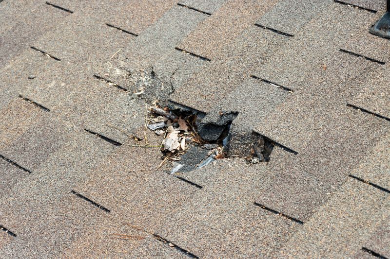 Damaged Roof Replacement in Wellington, CO