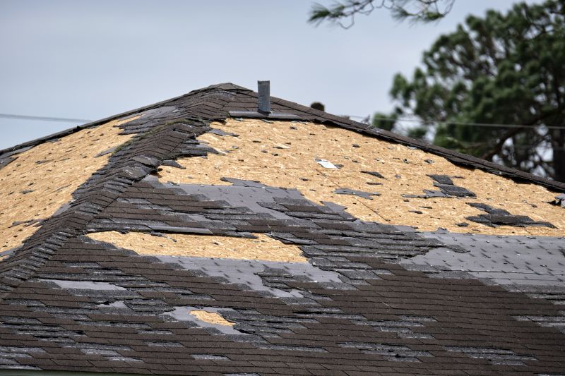 Roof Damage Repair in Greeley, CO