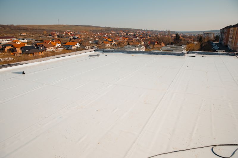 Rubber Roof Repair in Loveland, CO