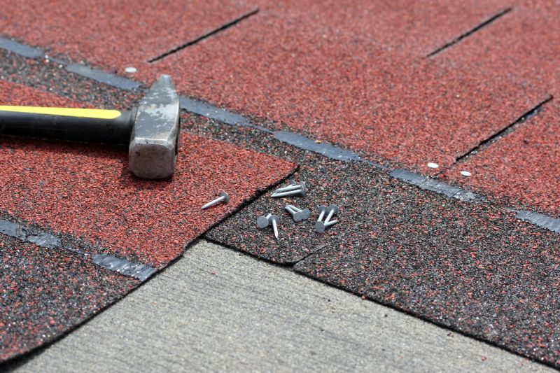 Shingles Repair in Evans, CO
