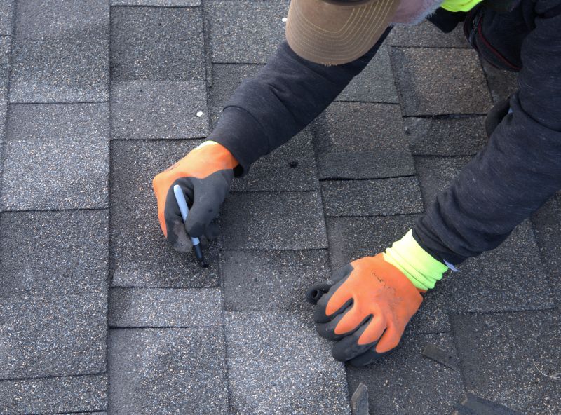 Shingles Repair in Larimer County, CO