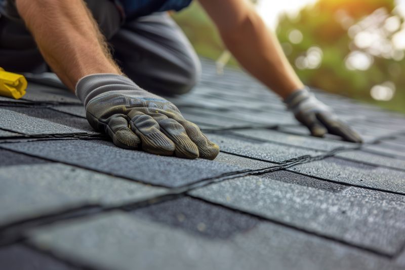 Shingles Repair in Milliken, CO