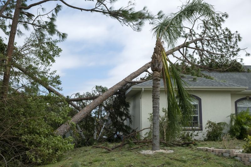 Storm Damage Roof Repair in Nunn, CO
