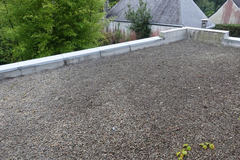 Tar And Gravel Roof Repair in Greeley, CO