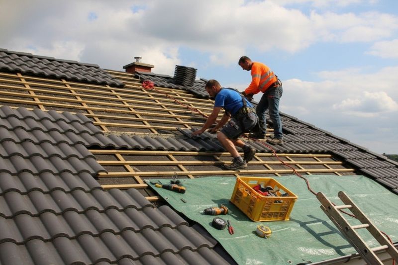 Tar Roof Repair in Timnath, CO